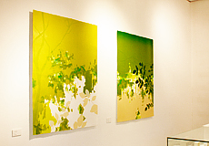 森田奏美WORKS